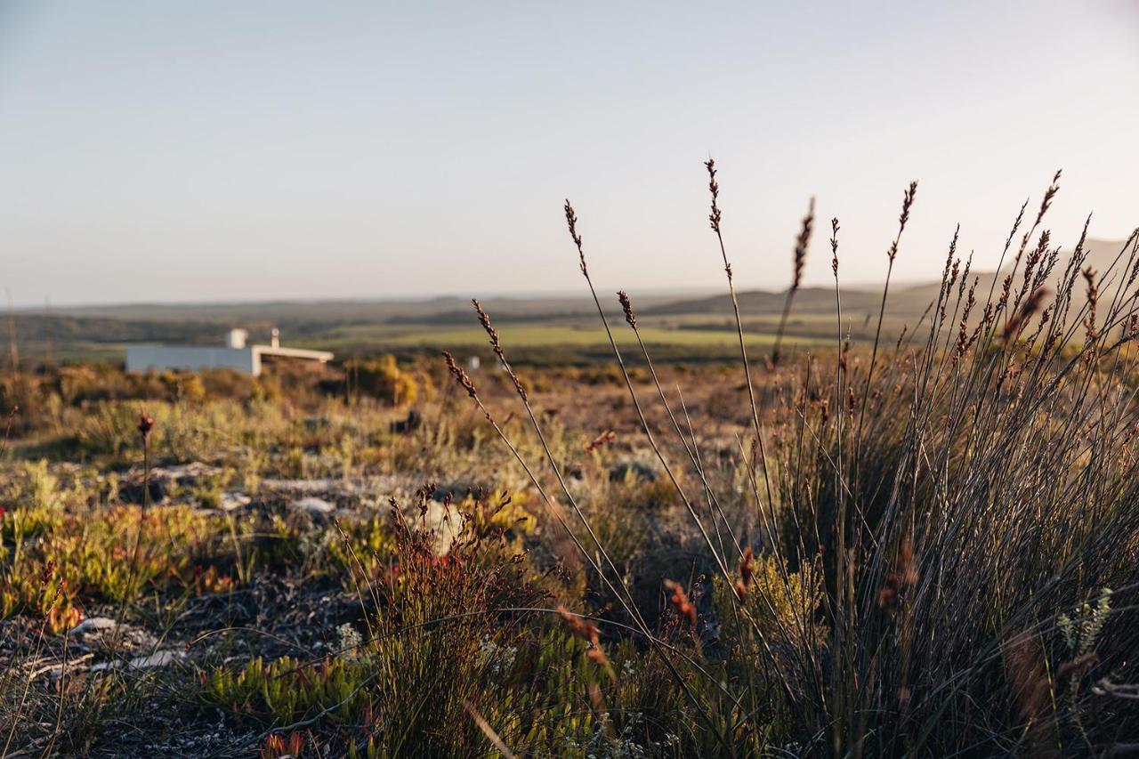 Гостьовий будинок Farm 215 Private Nature Reserve Uilenkraal Екстер'єр фото